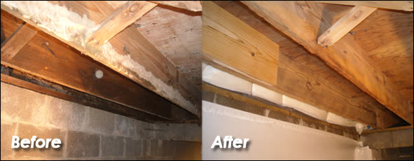 Thermal moisture scan inside a residential room